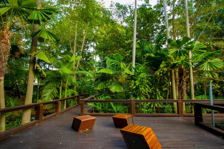 Tropical garden design uk modern made wijaya melbourne beautiful concept for ideas