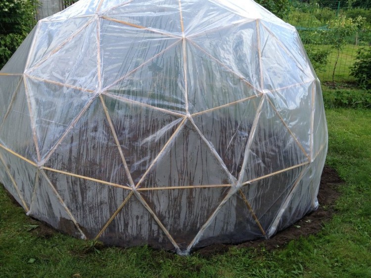 go green house plans dome