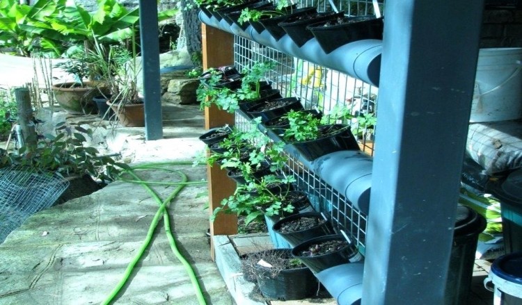 vertical garden vertical garden a vertical garden that grows vegetables  strawberries herbs and flowers easily vertical