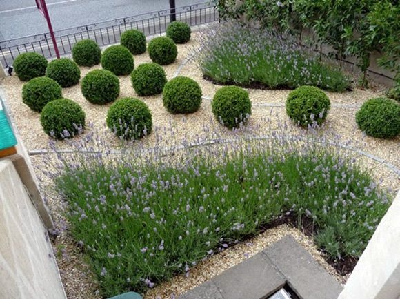 Low maintenance landscaping ideas