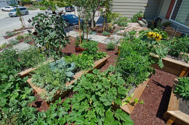 backyard herb garden patio herb garden backyard patio in ground herb garden ideas patio herb garden