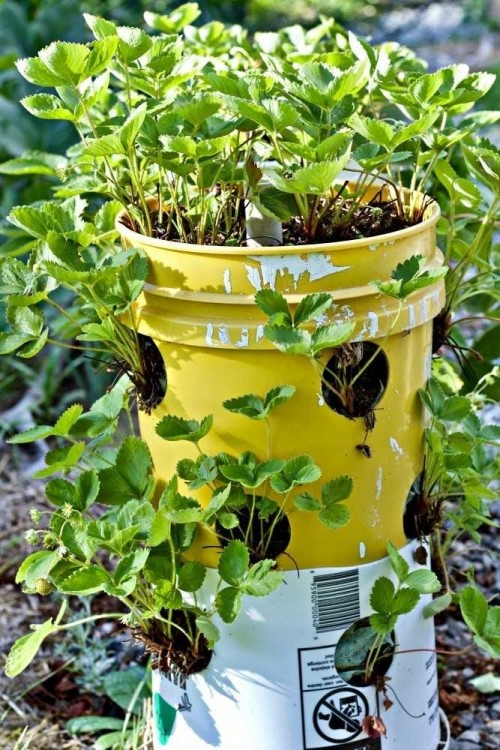 amazing ideas to build your own tower garden build your own tower garden diy hydroponic garden
