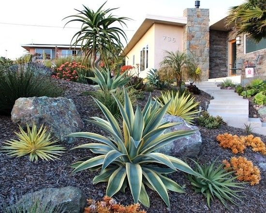 desert garden ideas