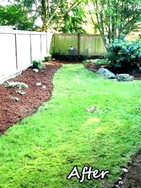 raised garden bed animal barrier gardens plans new stock beds vegetables  with deer fence ideas instructions