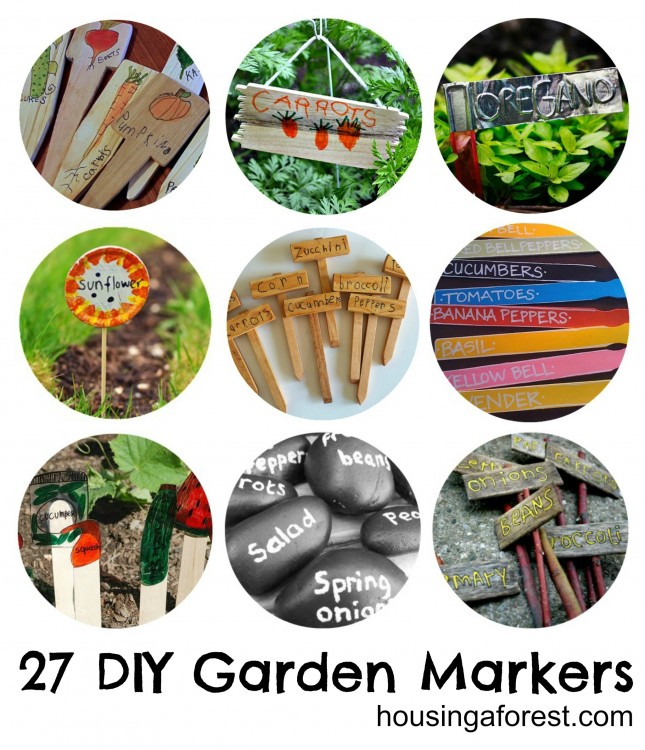 50+ GARDENING ACTIVITIES FOR KIDS