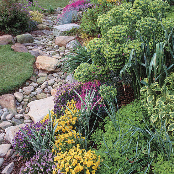 Bog covers include plants that love and thrive