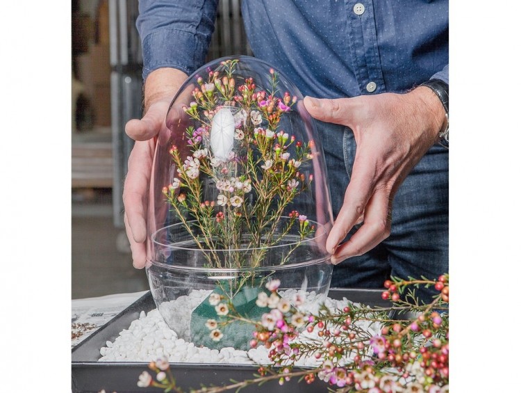 small enough for indoor use but large enough to fit a miniature garden, design house stockholm presents the 'greenhouse' terrarium designed by atelier 2+