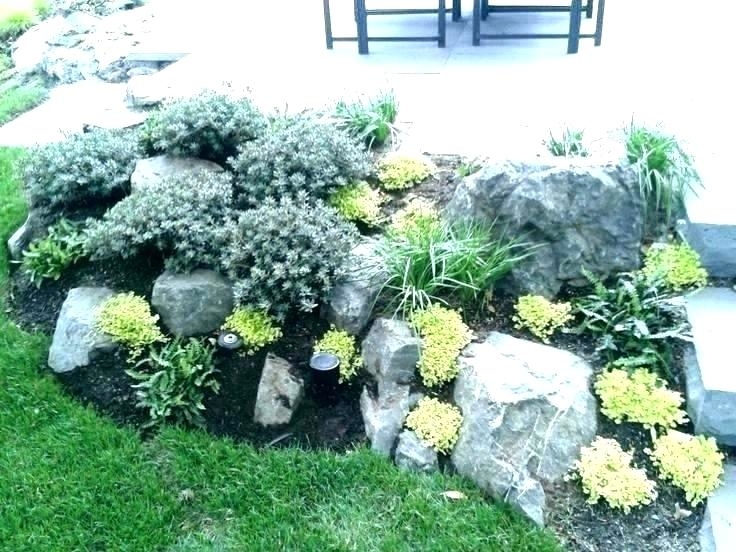 rock garden ideas for small gardens perennial rock garden ideas elegant for small gardens spaces perennial