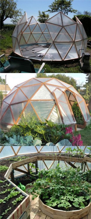 dome house design software geodesic floor plans inspirational greenhouse of