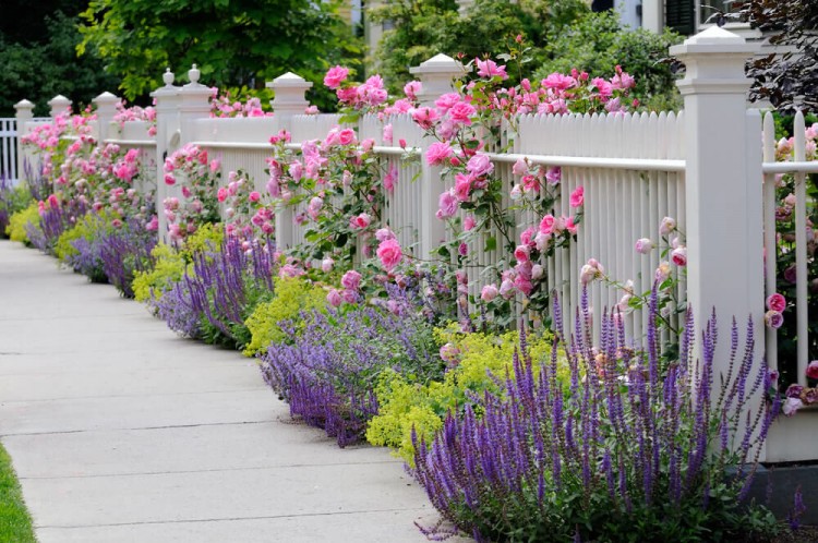 Our customer wanted a garden that for relaxing, but they also wanted to be able to grow plants, flowers and vegetables