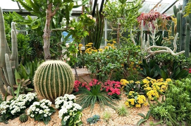 home garden ideas