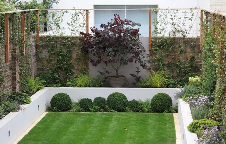 Lawn Garden Fancy Small Design Ideas With Green For Landscape Trees