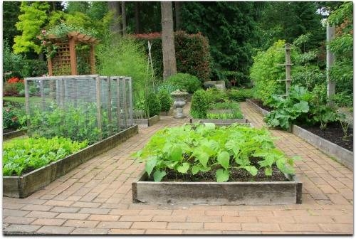 garden box ideas