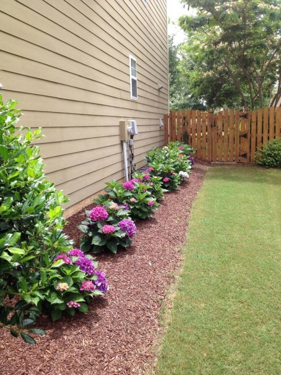 Not just gardening ideas, but other easy home improvement projects