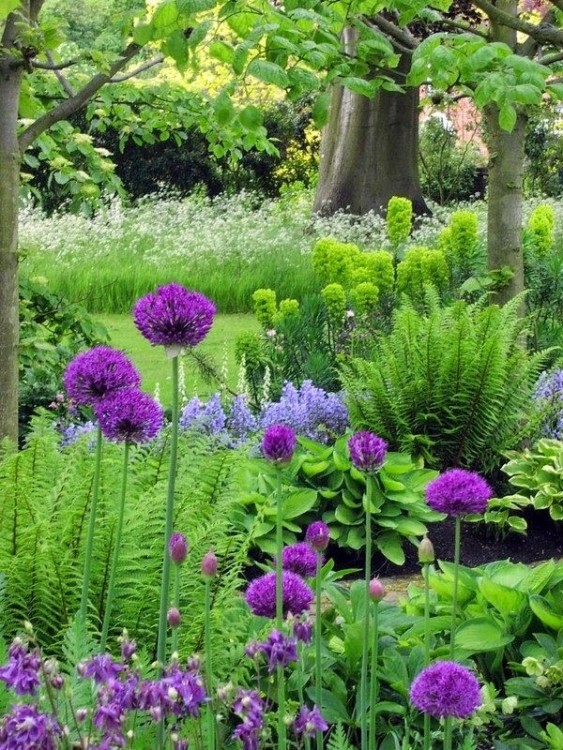 flower garden ideas bckyrd retret pinterest perennial for partial shade