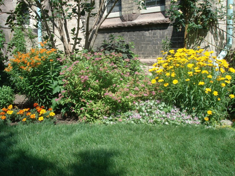 It's hard to do a garden in very little space, and many have turned to community gardens and sharing spaces to answer