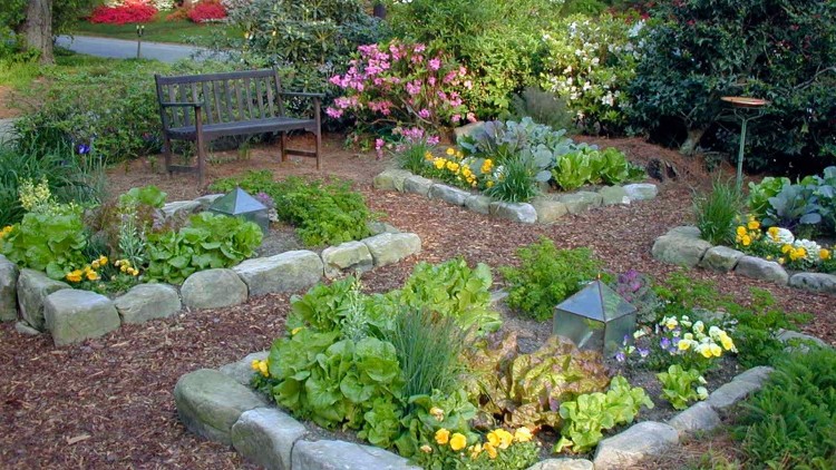 Landscaping ideas for backyards – Turning a soggy backyard into a garden oasis