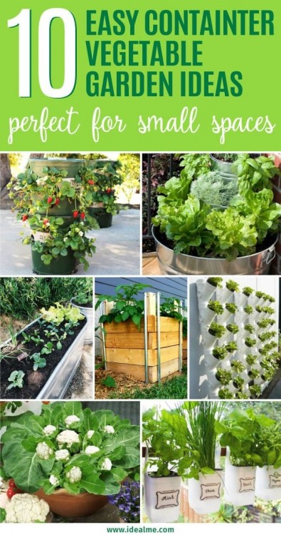 Awesome Container Flower Garden Ideas Garden Ideas Ideas Of Container  Gardening Vegetables