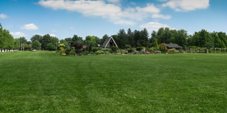 The photo on the left is from the Ball Seed Company garden in West Chicago, Illinois and shows, more or less, a wildflower meadow