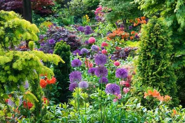 Small corner shade garden by front entryway