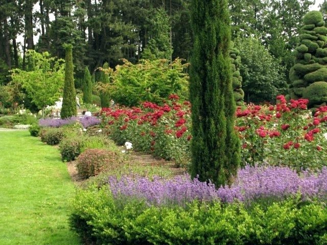 front yard rose garden ideas backyard landscaping