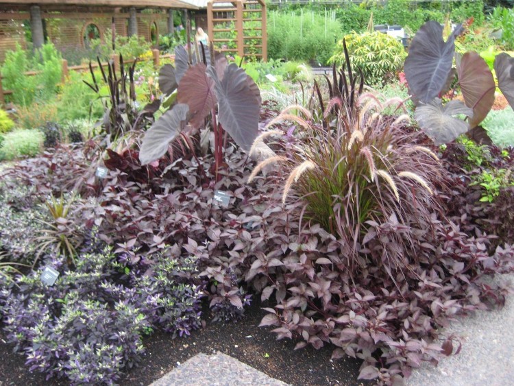 Landscaping Ideas · outdoor flower containers | This galvanized old pot contains four types of heat tolerant annuals