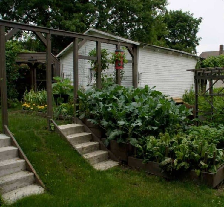 Terraced Vegetable Garden Design Artificial Balcony Raised Beds Steep Slope