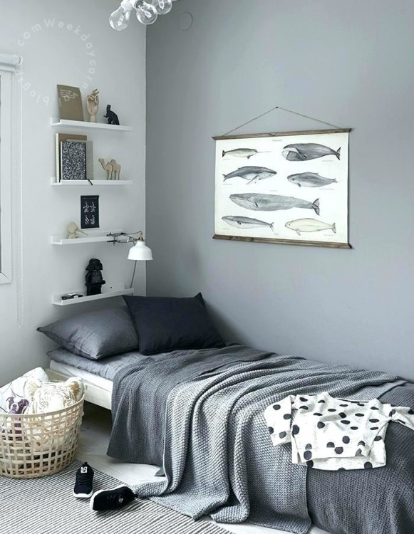 gray boys room