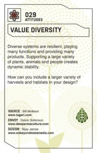 Permaculture Design Deck