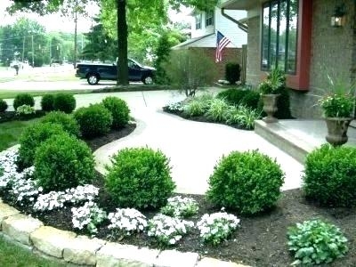 Front Yard Landscaping Small House Ideas Area For Captivating Low Maintenance On A Budget